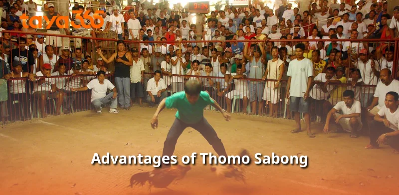 Advantages of Thomo Sabong