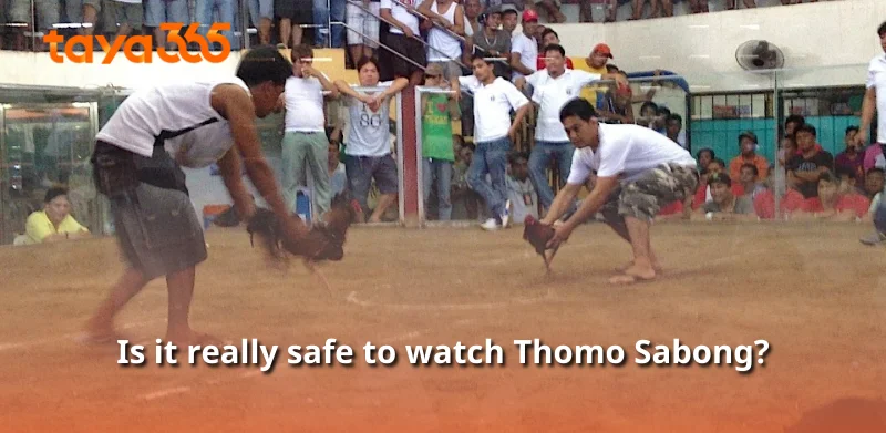 Is it really safe to watch Thomo Sabong?