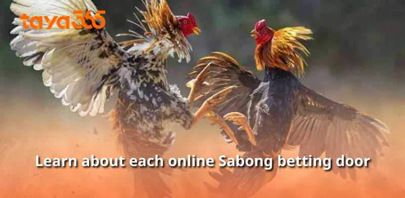 Learn about each online Sabong betting door