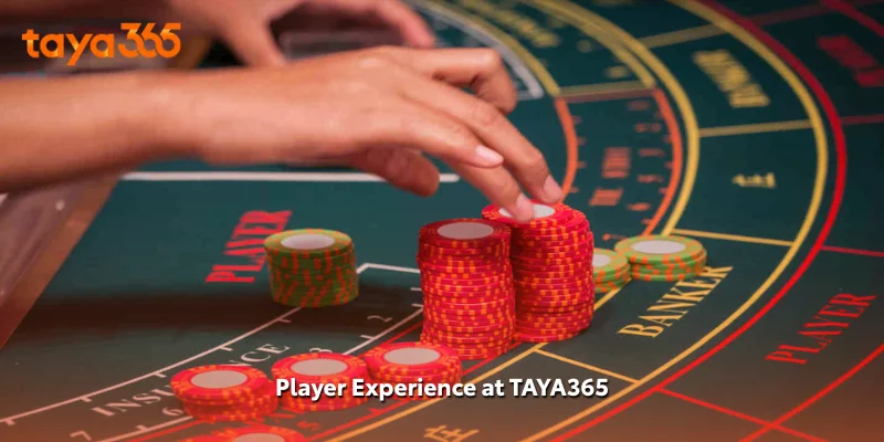Player Experience at TAYA365